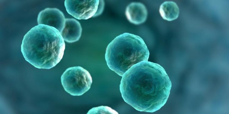 Oren Zarif – Treatments For Adrenocortical Carcinoma