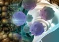 Oren Zarif – Treatments For Adrenocortical Carcinoma
